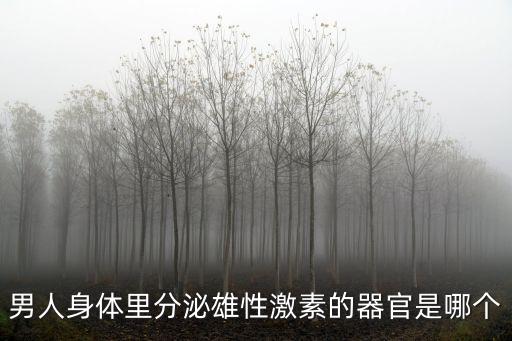 男人人體，男人身體里分泌雄性激素的器官是哪個
