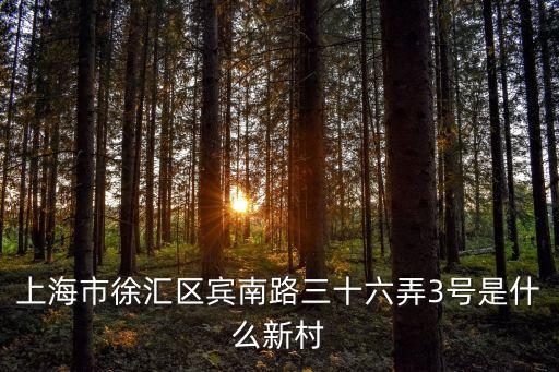 上海市徐匯區賓南路三十六弄3號是什么新村