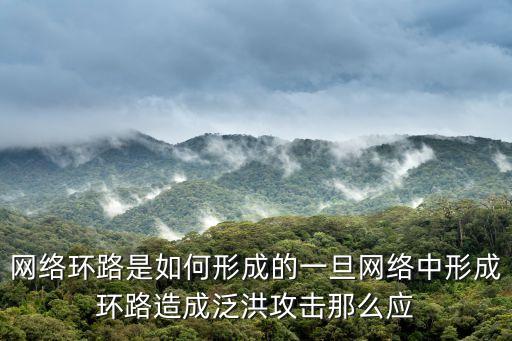 網絡環路，網絡環路是如何形成的一旦網絡中形成環路造成泛洪攻擊那么應