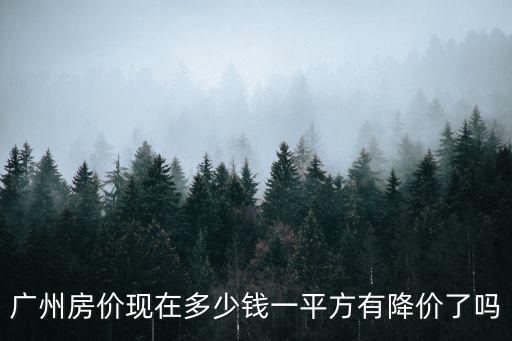 廣州海印花園降價房價，廣州房價現在多少錢一平方有降價了嗎