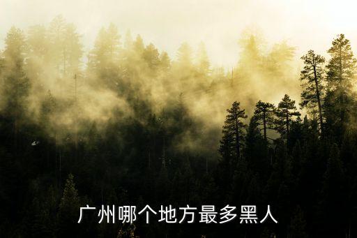 廣州各區非洲人，廣州哪里黑人聚集多