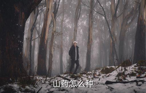 如何種植山藥，山藥的種植技術