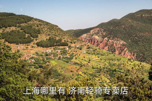 上海市仁濟南院婦科排班表，濟南有上海大眾的汽車配件廠嗎