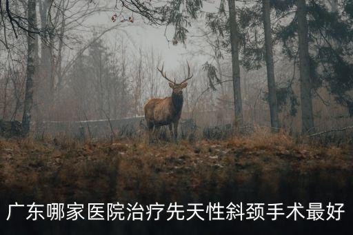 廣州哪家醫院治斜頸比較好，廣州哪所醫院治療斜頸好