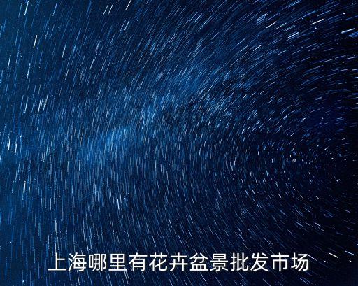 上海市富貴竹批發市場，上海哪里有竹子賣粗的細的都要