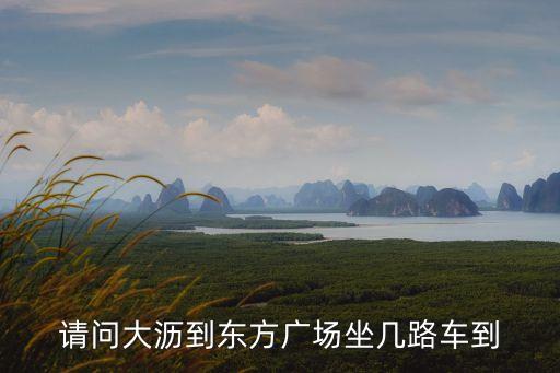 請(qǐng)問大瀝到東方廣場坐幾路車到