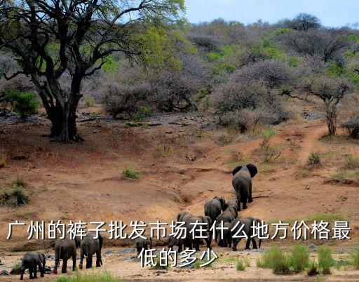 廣州九月褲子批發(fā)，廣州的褲子批發(fā)市場(chǎng)在什么地方價(jià)格最低的多少