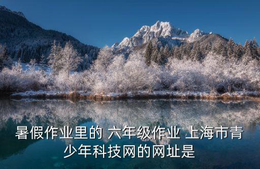 暑假作業里的 六年級作業 上海市青少年科技網的網址是