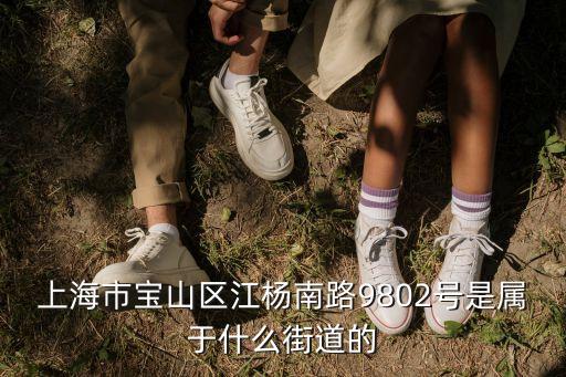 上海市寶山區(qū)江楊南路姚家塘村圖片，上海市寶山區(qū)月浦鎮(zhèn)春雷路331弄在哪  急急