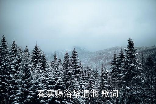 始是新承恩澤時，侍兒扶起嬌無力始是新承恩澤時什么意思