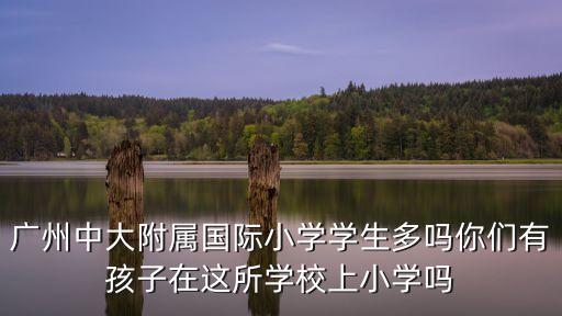 廣州平沙松園中西街學(xué)區(qū)學(xué)校，廣州中大附屬國(guó)際小學(xué)學(xué)生多嗎你們有孩子在這所學(xué)校上小學(xué)嗎