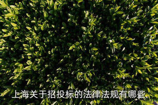 上海市  招標(biāo)投標(biāo)評定分離，工程量清單招投標(biāo)實(shí)行量價分離風(fēng)險分擔(dān)招標(biāo)人只對什么負(fù)責(zé)
