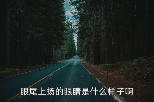 眼尾上揚的眼睛是什么樣子啊