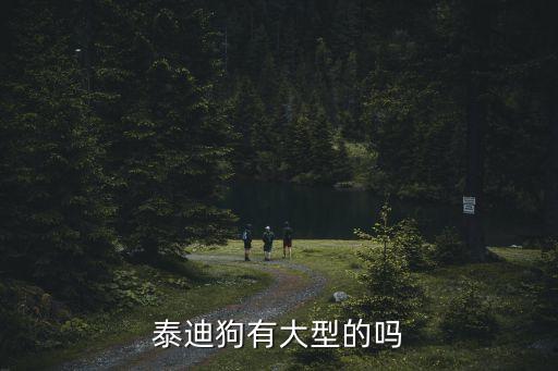 大型泰迪，巨型泰迪的價(jià)格