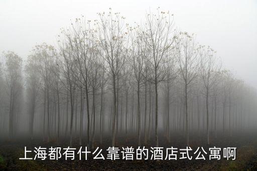 上海都有什么靠譜的酒店式公寓啊