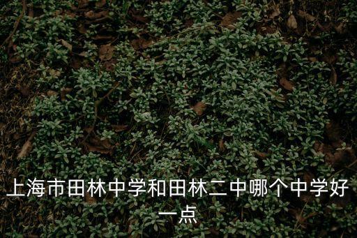 上海市田林二中校長(zhǎng)，上海市田林中學(xué)和田林二中哪個(gè)中學(xué)好一點(diǎn)