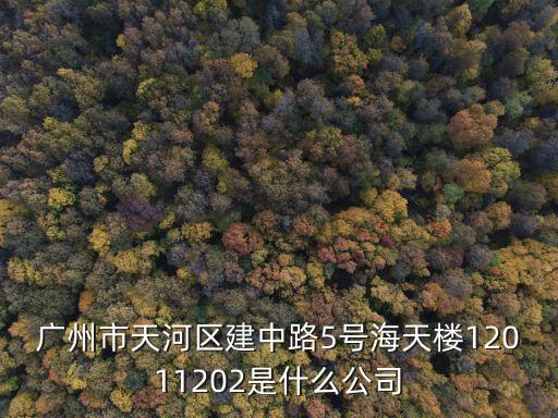 廣州市天河區建中路5號海天樓12011202是什么公司