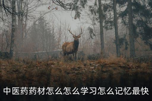 中藥記憶口訣三天，中藥方劑學的記憶有何捷徑