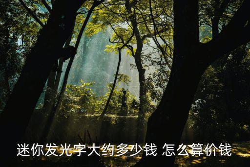 迷你發光字大約多少錢 怎么算價錢