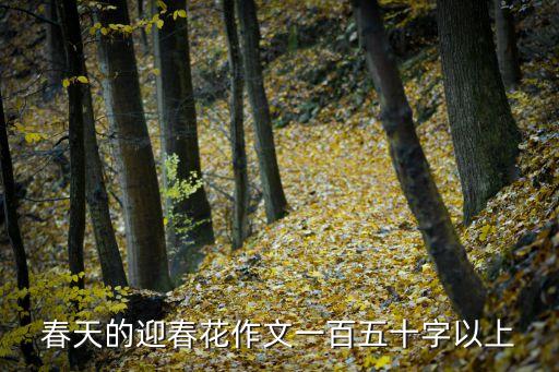 春天的迎春花作文一百五十字以上