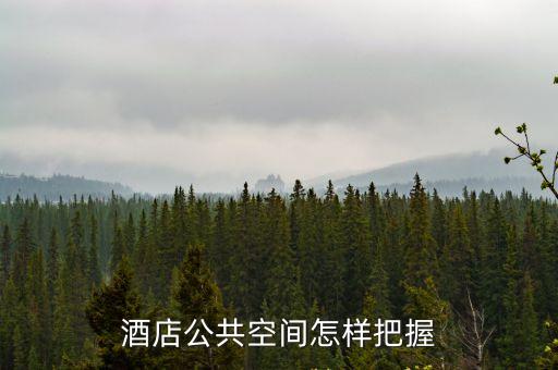 酒店公共區(qū)域，酒店一樓休息區(qū)是否屬于公共場所