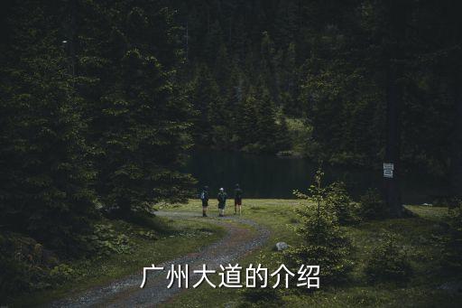 廣州大道上海珠區和番禺區交界，請問廣州市廣州大道在廣州的哪個區