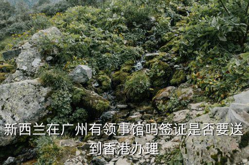新西蘭在廣州有領事館嗎簽證是否要送到香港辦理