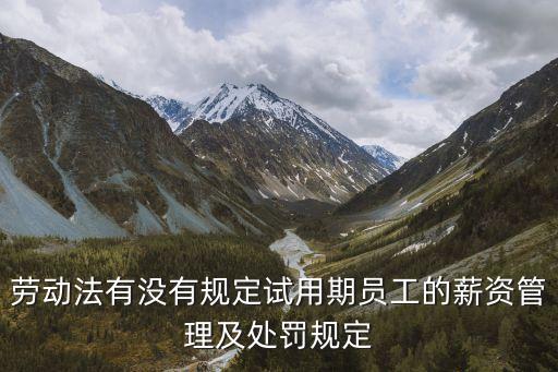 試用期管理，勞動法有沒有規定試用期員工的薪資管理及處罰規定