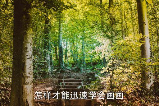 怎樣才能迅速學(xué)會(huì)畫畫