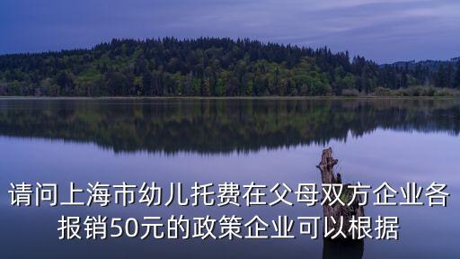 請問上海市幼兒托費(fèi)在父母雙方企業(yè)各報(bào)銷50元的政策企業(yè)可以根據(jù)