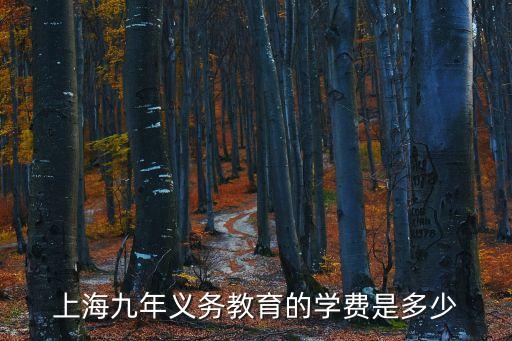 上海市兒童義務教育階段學費，上海這邊外地學生上小學三年級和五年級要花多少錢