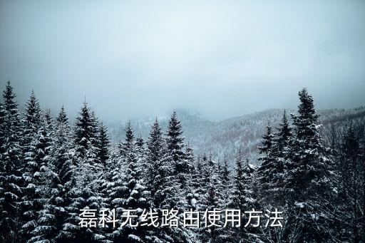 磊科無線路由使用方法