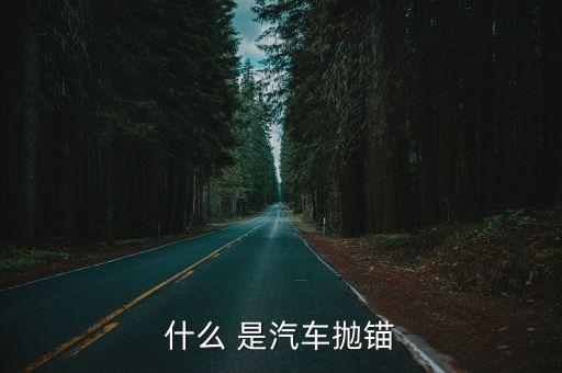 什么 是汽車拋錨