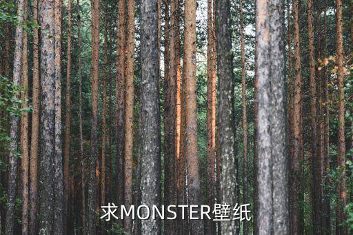 惡魔壁紙，求MONSTER壁紙