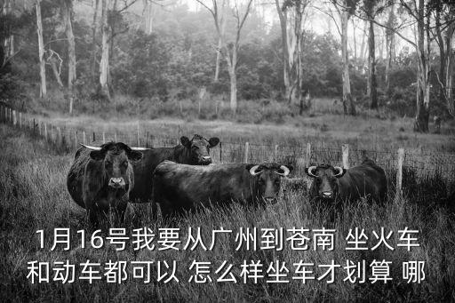 廣州到蒼南最佳方法，我在廣州火車站回溫州蒼南坐那幾次車可到