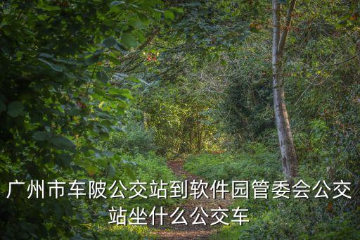 廣州市車陂公交站到軟件園管委會公交站坐什么公交車