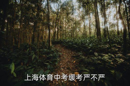 上海體育中考緩考嚴不嚴