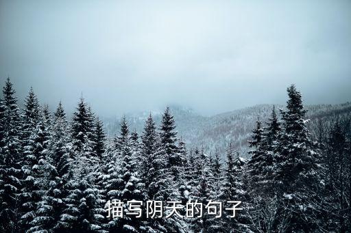 描寫陰天的句子