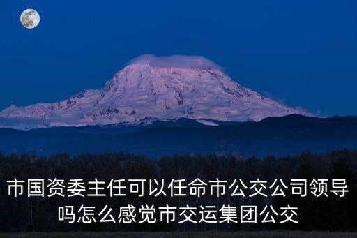 市國資委主任可以任命市公交公司領(lǐng)導(dǎo)嗎怎么感覺市交運集團公交