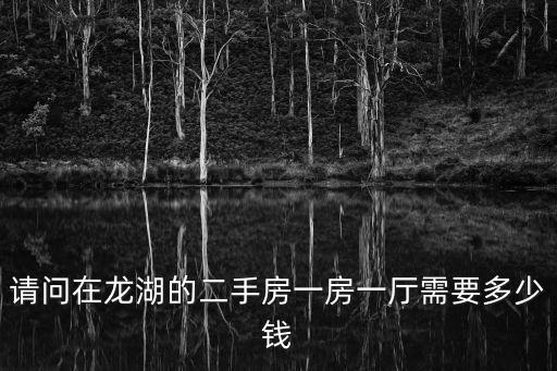 請問在龍湖的二手房一房一廳需要多少錢