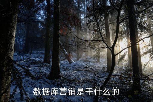 數據庫營銷是干什么的