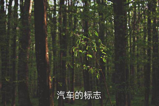 車的標志，汽車的標志