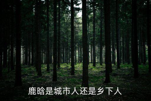 鹿晗是哪里人，鹿晗在那個城市出生的