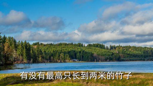 鵝毛竹，有沒有最高只長到兩米的竹子
