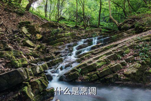 烹調的意思，烹飪名詞解釋