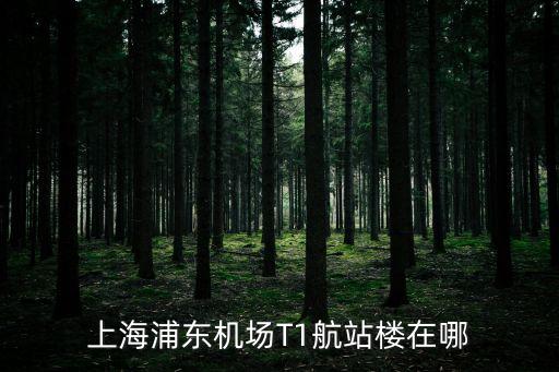 上海市浦東機(jī)場(chǎng)t1在哪里，上海浦東機(jī)場(chǎng)t1在哪一個(gè)航站樓