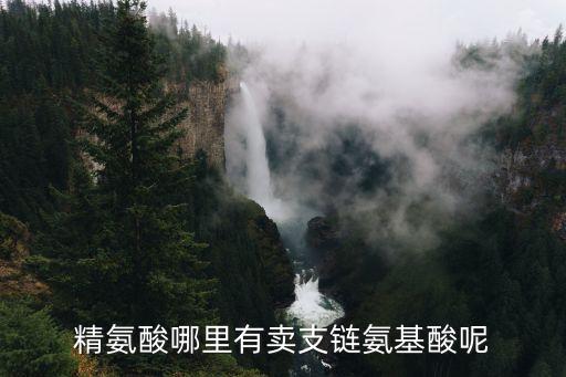 精氨酸哪里有賣支鏈氨基酸呢