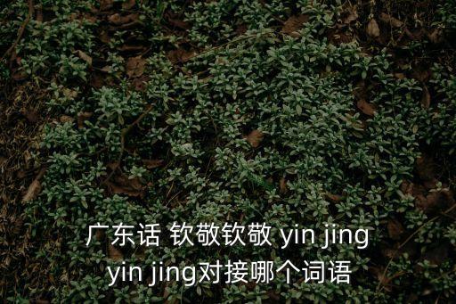 廣東話 欽敬欽敬 yin jing yin jing對接哪個詞語