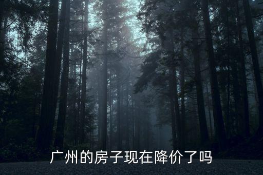 廣州的房子現(xiàn)在降價(jià)了嗎