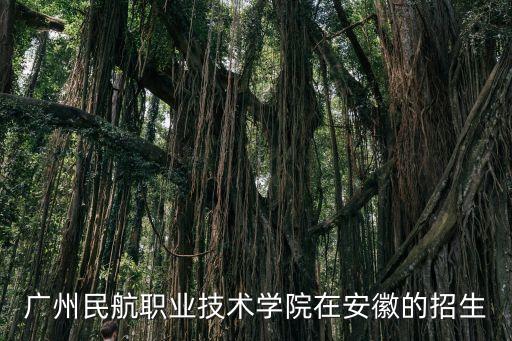 廣州民航職業(yè)技術(shù)學(xué)院在安徽的招生